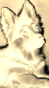 Sepia + Negatyw