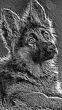 Skamielina