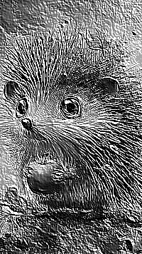 Skamielina