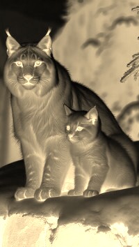 Sepia + Negatyw
