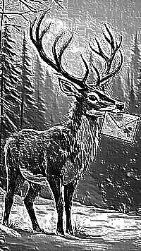 Skamielina