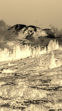 Sepia + Negatyw