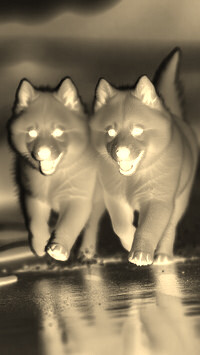 Sepia + Negatyw