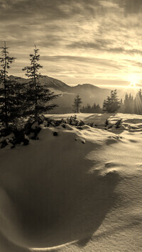 Sepia