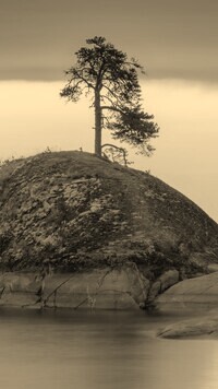 Szary + Sepia