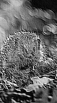 Skamielina