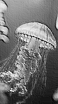 Skamielina