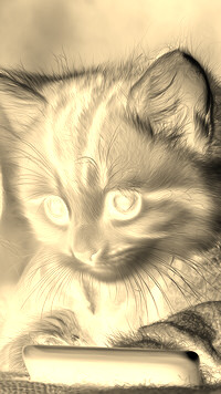 Sepia + Negatyw