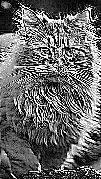Skamielina