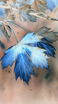 Negatyw