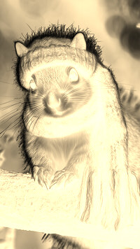 Sepia + Negatyw