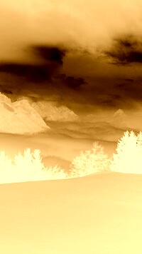 Sepia + Negatyw