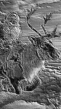 Skamielina