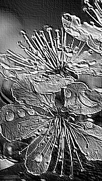 Skamielina