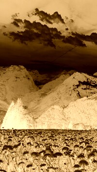 Sepia + Negatyw