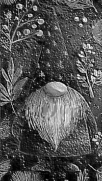 Skamielina