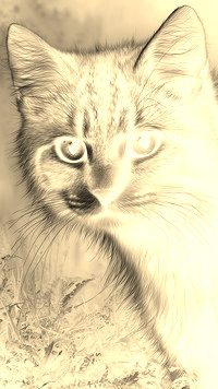 Sepia + Negatyw