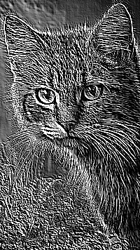Skamielina