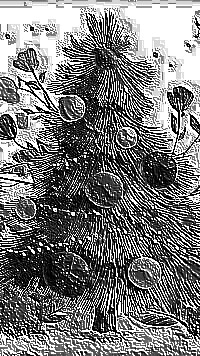 Skamielina