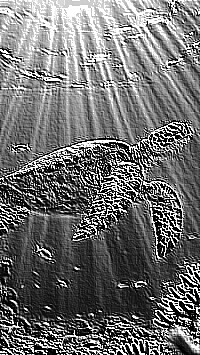 Skamielina