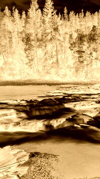Sepia + Negatyw