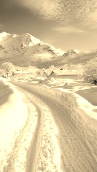 Szary + Sepia