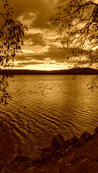 Sepia