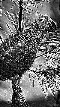 Skamielina