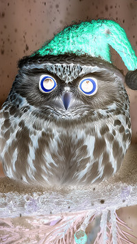 Negatyw