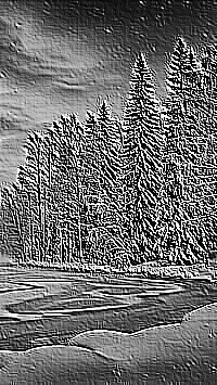 Skamielina