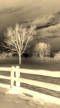 Sepia + Negatyw