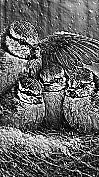 Skamielina