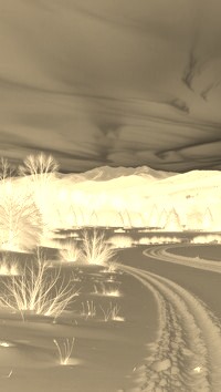 Sepia + Negatyw