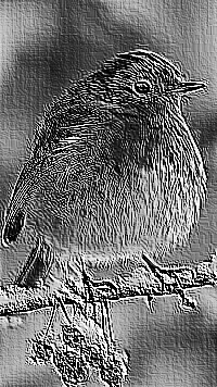 Skamielina