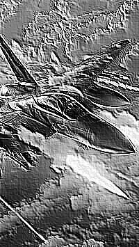 Skamielina