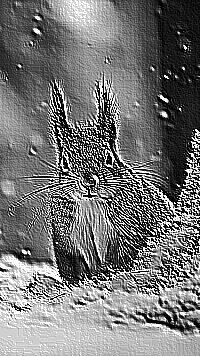 Skamielina