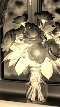 Sepia + Negatyw