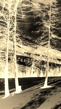 Sepia + Negatyw