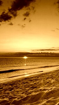 Sepia