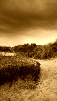 Sepia