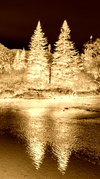 Sepia + Negatyw
