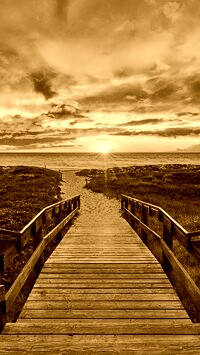 Sepia