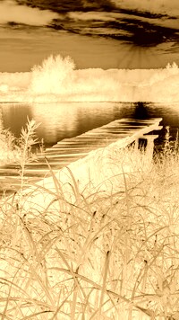 Sepia + Negatyw