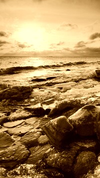 Sepia