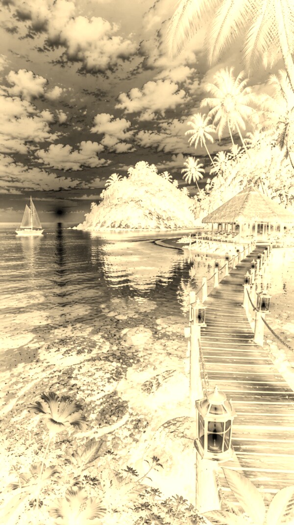 Sepia + Negatyw