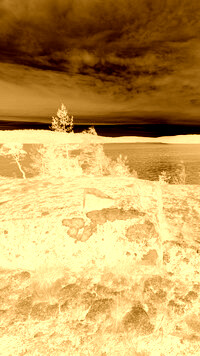 Sepia + Negatyw