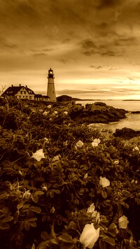 Sepia