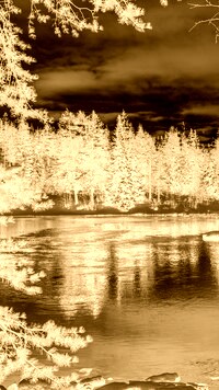 Sepia + Negatyw