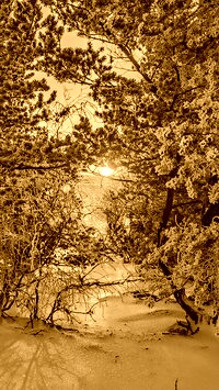 Sepia