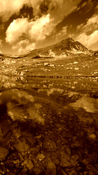 Sepia